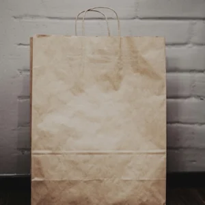 World Class Imports - WC Kraft Heavy Paper Bag