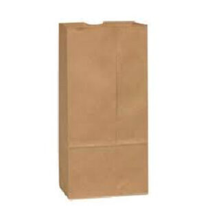World Class Imports - Kraft Heavy Paper bag