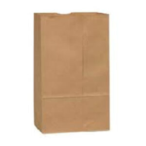 World Class Imports - Kraft Heavy Paper bag